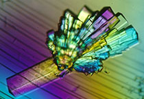 PD-1抑制剂成“抗癌神器”，国内外企业进展如何？