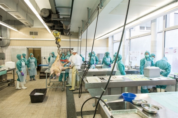 HJC黄金城平台药物靶点筛选服务