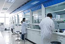 Cancercell：靶向组蛋白甲基酶PRMT1治疗急性髓系白血病