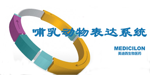 哺乳动物细胞表达系统特点、优势及研究现状