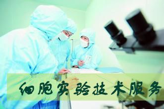 HJC黄金城平台细胞实验服务外包