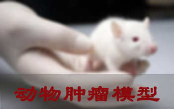 HJC黄金城平台肿瘤模型建立服务