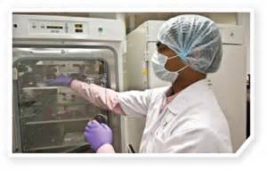 Science：癌症免疫疗法“新靶点”——Cdk5