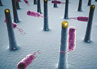 未来的药丸里，可能有一万亿个人工改造的细菌？