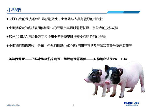 皮肤涂抹试验中，受试动物选择小型猪更好