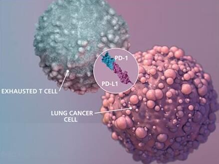 2017年度巨献：癌症免疫疗法重磅级研究解读