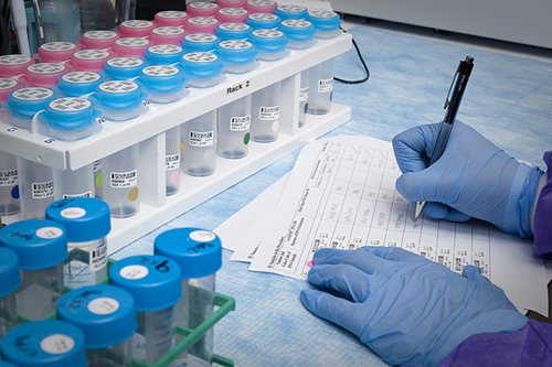 浅谈：创新药物IND申请之药学研究