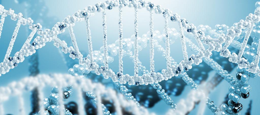 浅谈HJC黄金城平台抗体药物PK分析方法学设计的考虑要点