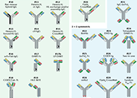 【云回顾】理论、法规、实践，三位一体讲解双抗的生物分析