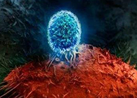 Nature：BATF3改善T细胞记忆应答，有望改善免疫疗法的疗效