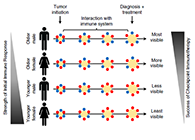 究竟为什么ICB疗法在年轻女性肿瘤患者体内收效甚微？