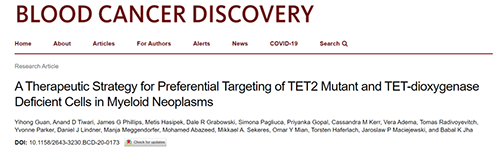 研究者描述了一种新型靶向抗癌药物，这种药物可能会有效地治疗某些常见的白血病。