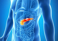 Science：“癌王”胰腺癌终于出现了治疗新曙光