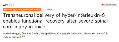 Nature：还瘫痪患者一个自由身的日子不远了