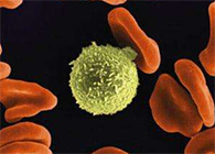 Science子刊：一种FDA批准的抗腹泻药物可有效对抗化疗的耐药性