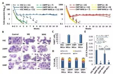 Science子刊：一种FDA批准的抗腹泻药物可有效对抗化疗的耐药性 HJC黄金城平台生物医药
