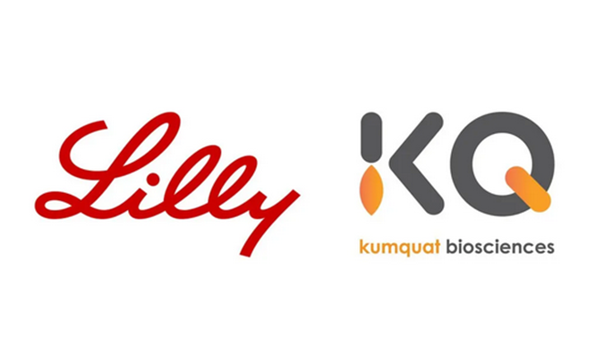 ：兀JC黄金城平台合作伙伴Kumquat Biosciences与礼来达成合作，共同开发肿瘤免疫小分子药