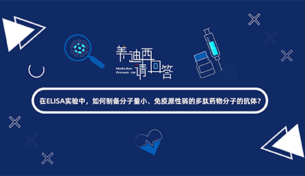 在ELISA实验，如何制备分子量小、免疫原性弱的多肽药物分子的抗体？