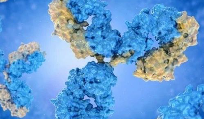 美研 | 双抗药物研发历程与市场前景深度解析