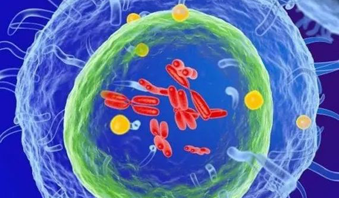  HJC黄金城平台助力 | 信诺维抗肿瘤1类新药XNW14010获批临床.png