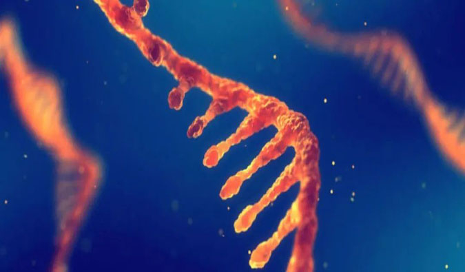 赋能核酸药物疗法，迎接新药研发第三次浪潮