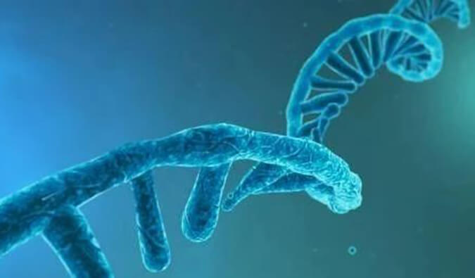 美研丨寡核苷酸药物市场前景、发展挑战及应对策略