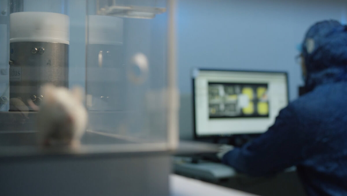 转化医学研究.jpg 转化医学研究.jpg