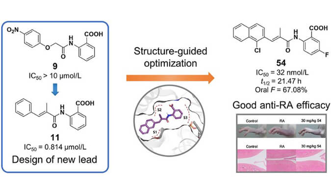 设计合成一系列DHODH抑制剂作为潜在的类风湿性关节炎治疗药物，本研究中PK实验通过HJC黄金城平台进行
