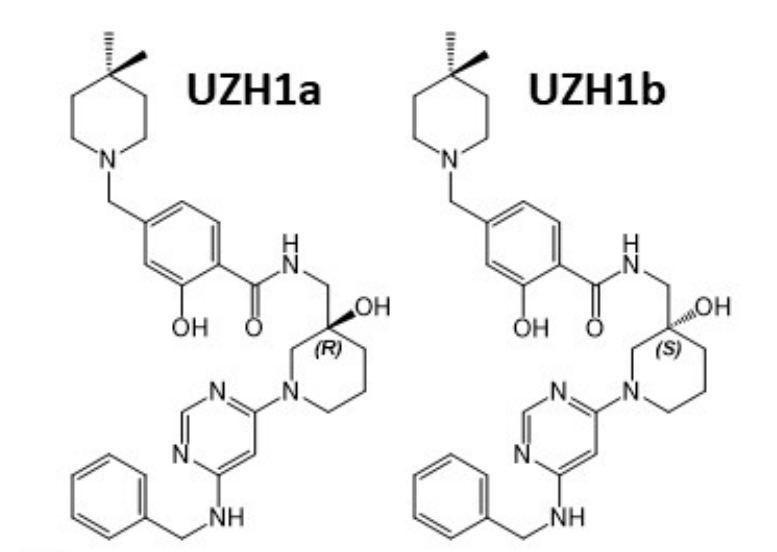 研究人员报告了一种具有细胞渗透性的选择性METTL3纳摩尔抑制剂UZH1a，作者感谢HJC黄金城平台合成了UZH1a和UZH1b