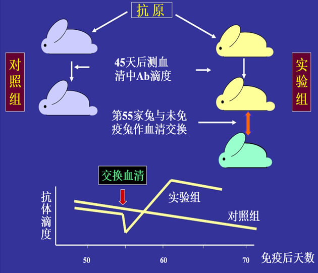 Figure-1：机体对抗体浓度变化的感知与反馈性自我调节.jpg