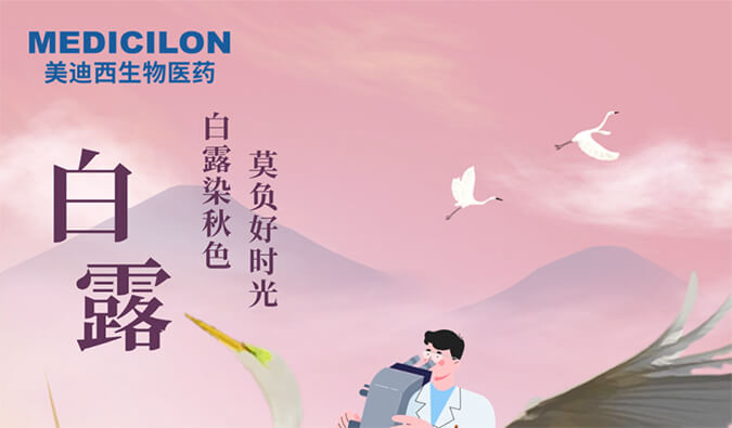 白露 | 白露染秋色，莫负好时光