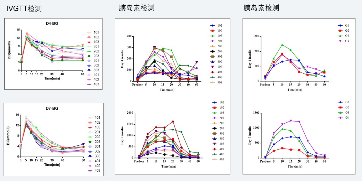 案例4：食蟹猴IVGTT和胰岛素检测实验.jpg