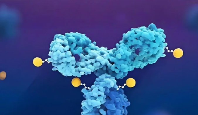 深度剖析：ADC药物生物分析的考量因素