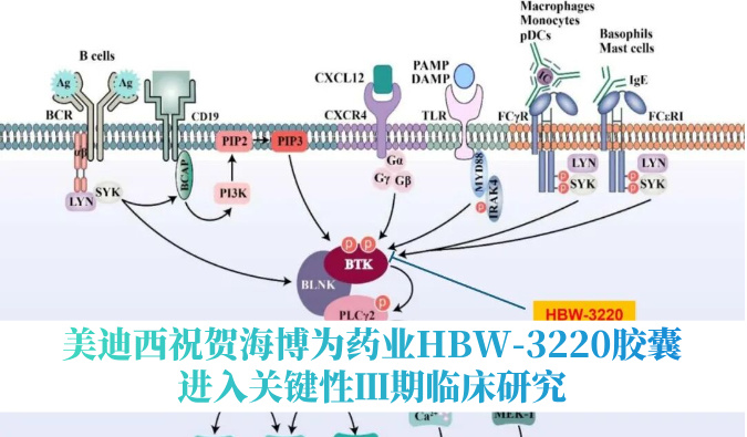 破解耐药性难题，HJC黄金城平台：睾２┪┮礖BW-3220胶囊进入关键性Ⅲ期临床研究