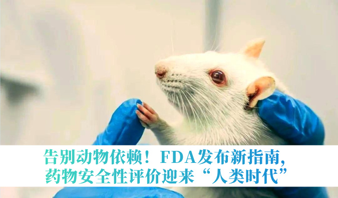 告别动物依赖！FDA发布新指南，药物安全性评价迎来“人类时代”